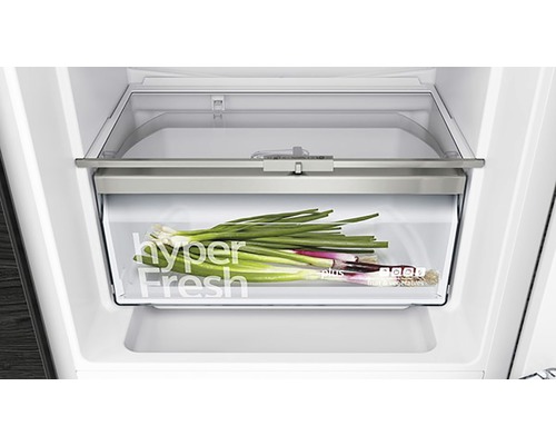 Compartiment à légumes avec oignons nouveaux dans le réfrigérateur