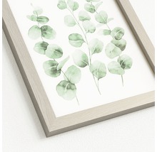 Reproduction d''art encadrée avec motif d''eucalyptus