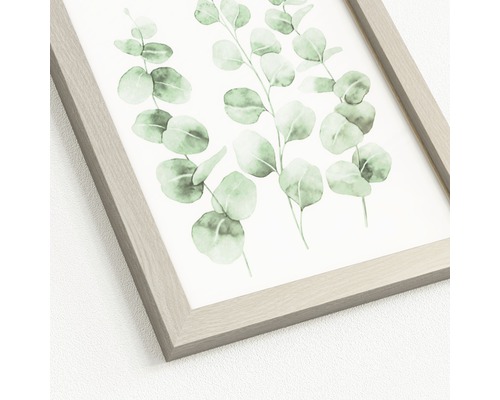 Reproduction d''art encadrée avec motif d''eucalyptus