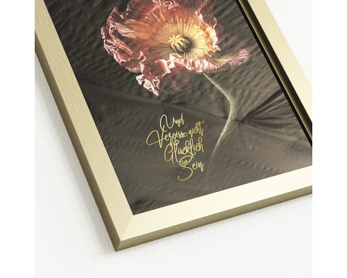 Image encadrée avec motif floral et inscription allemande