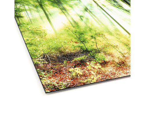 Wandbild mit Waldmotiv und Sonneneinstrahlung