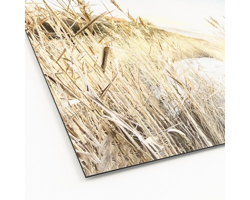 Nahaufnahme einer Aluminiumverbundplatte mit einem gedruckten Gräser Motiv.