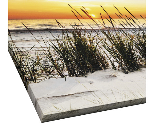 Leinwandbild mit Strandmotiv und Gras im Vordergrund
