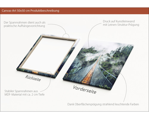 Tableau sur toile 50x50 centimètres avec cadre en MDF et motif de forêt