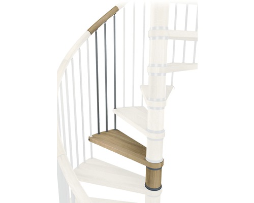 Vue détaillée d''un escalier en colimaçon avec marches en bois et balustrade en métal