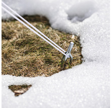 Hering mit Abspannseil im Schnee auf Rasen