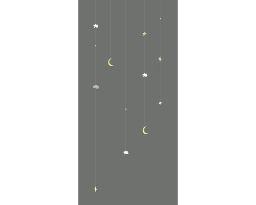 Décoration avec des motifs de lune, d''étoile et de nuage sur des fils