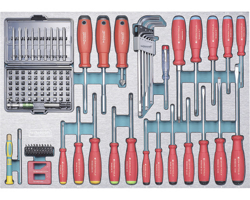 Werkzeugsatz mit Schraubendrehern, Bits, Stiftschlüsseln und Magnetisierer