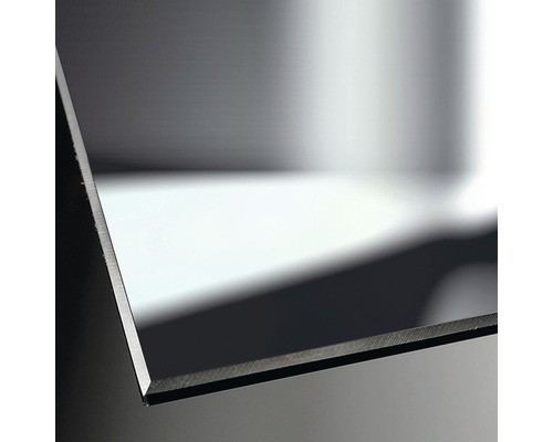 Élément en verre Breuer Panorama 2 chrome verre miroir 120/50 cm 3457005026268 Plaque métallique en détail