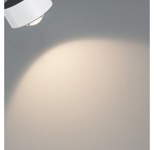 Paulmann URail Spot Aldan ll 8,0 W 370 lm weiss