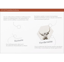 Produktbeschreibung Cut-Out: Rückseite mit Klebepunkten, Vorderseite mit Tiermotiv auf Hartschaumpaneel