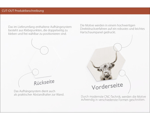 Produktbeschreibung Cut-Out: Rückseite mit Klebepunkten, Vorderseite mit Tiermotiv auf Hartschaumpaneel