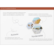 Produktbeschreibung Cut-Out: Rückseite mit Klebepunkten und Vorderseite mit Direktdruck auf Hartschaumpaneel.