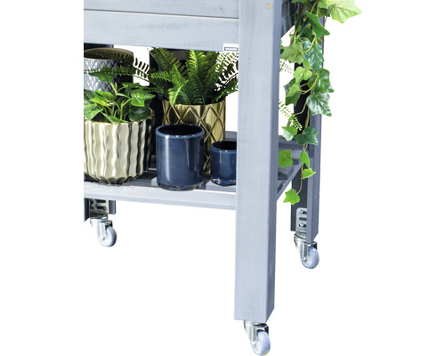 Chariot à plantes avec des plantes en pots