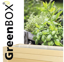 Jardinière surélevée en bois plantée d''herbes aromatiques