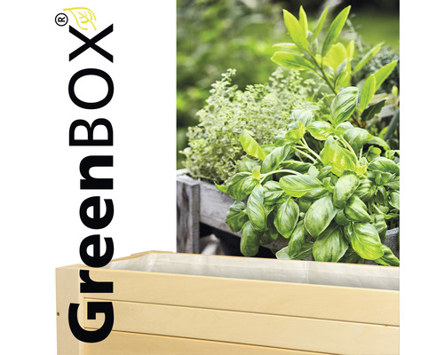 Jardinière surélevée en bois plantée d''herbes aromatiques