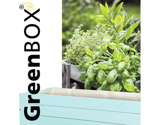 Jardinière surélevée plantée d''herbes aromatiques