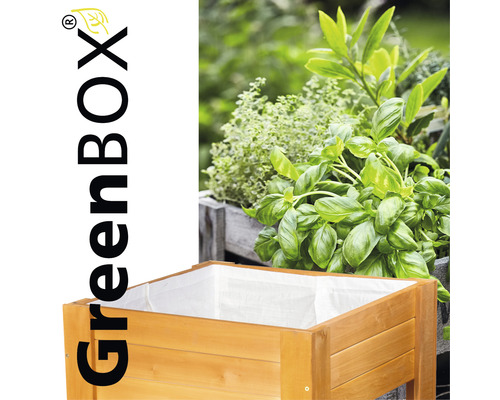 Jardinière surélevée en bois avec des herbes aromatiques