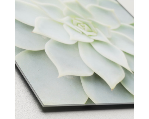 Image décorative en verre acrylique avec motif de succulentes