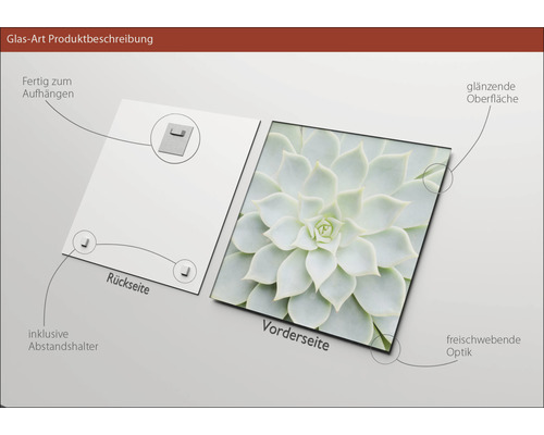 Glasbild mit Pflanzenmotiv, inklusive Aufhängung und Abstandshalter