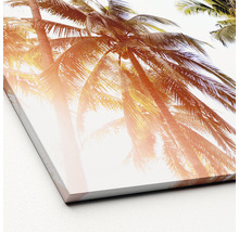 Leinwandbild mit Palmenmotiv