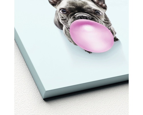 Dekorative Leinwand mit Bulldogge und Kaugummi