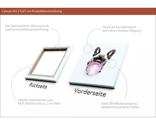 Produktbeschreibung einer Leinwand mit einem Bild von einem Hund mit Kaugummi, 27x27 cm