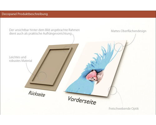 Decopanel Produktbeschreibung: Vorderseite mit Papagei und Rückseite mit Rahmen.