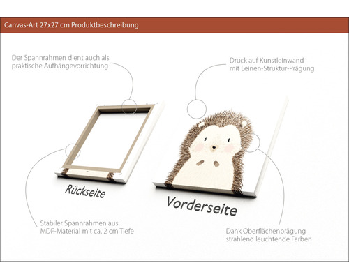 Leinwandbild 27x27 Zentimeter mit Igel-Motiv, Rück- und Vorderseite dargestellt