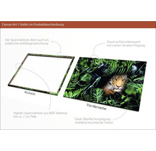 Leinwandbild Tiger in the Jungle 84x116 cm