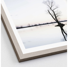 Gerahmtes Bild mit Baum im See