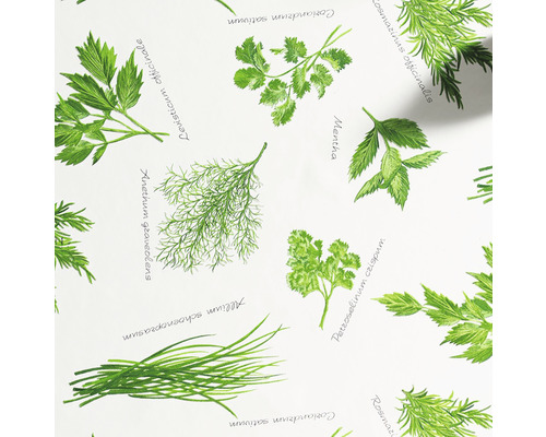 Illustration verschiedener Kräuter wie Koriander, Dill, Petersilie und Schnittlauch