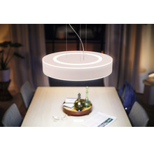 Plafonnier LED Philips Hue Enrave 1 x 33,5 W blanc Compatible avec SMART  HOME by hornbach - HORNBACH