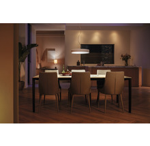 Plafonnier Hue Fair 1 x 33,5 W - Noir | Philips Hue FR