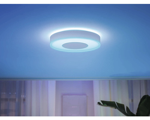 Plafonnier rond dans le salon avec des plantes