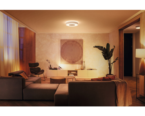 Salon avec canapé, fauteuil, armoire, plante d''intérieur et plafonnier rond