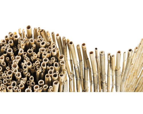 Tapis de bambou comme écran d''intimité pour le jardin