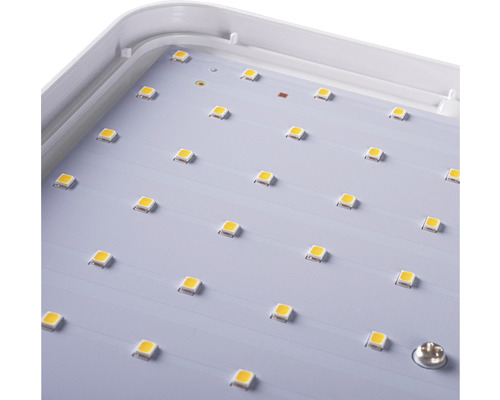 LED-Platine mit rechteckigem Rahmen für eine Lampe