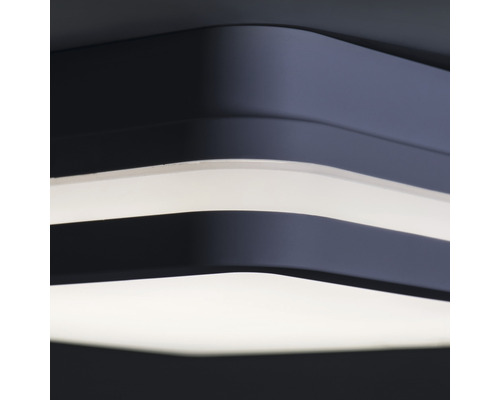 Nahaufnahme einer geschwungenen Deckenleuchte