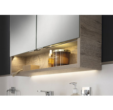 Armoire de toilette FACKELMANN B.style LED lxhxp 60x80.9x23.1 cm nature oak