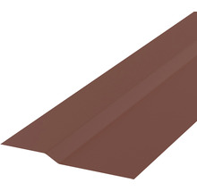 Tôle de rive pour couverture de toit