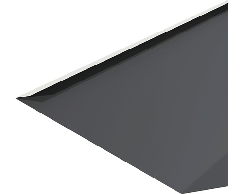 Profilé de bord de toit