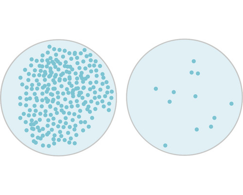Représentation de colonies bactériennes sur deux boîtes de Pétri