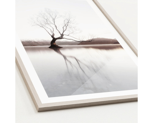 Image encadrée avec un arbre dans l''eau