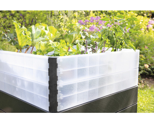 Jardinière surélevée avec de la salade, des herbes et des légumes dans le jardin