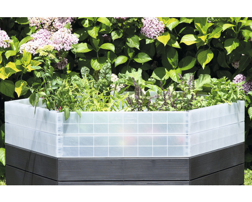 Jardinière surélevée avec des légumes et des herbes aromatiques dans le jardin