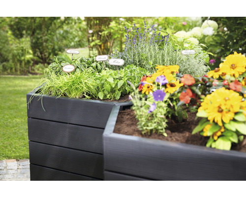 Jardinière surélevée avec herbes aromatiques et fleurs dans le jardin.