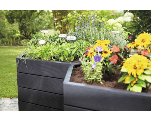 Jardinière surélevée avec herbes aromatiques et fleurs dans le jardin