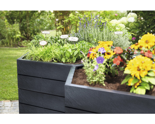 Jardinière surélevée avec herbes et fleurs dans le jardin