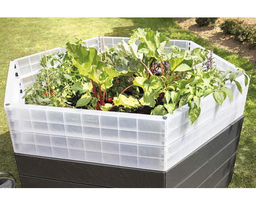 Jardinière surélevée avec légumes et plantes dans le jardin